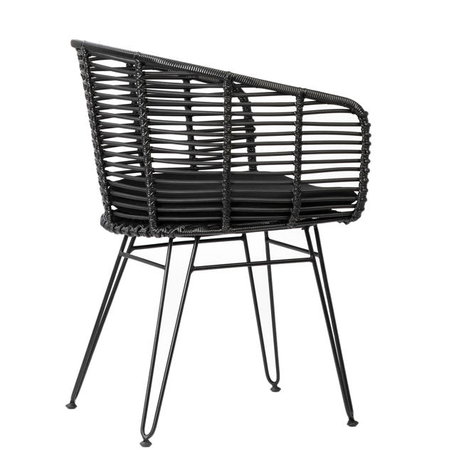 Ishani Dining Chair Set Of 2