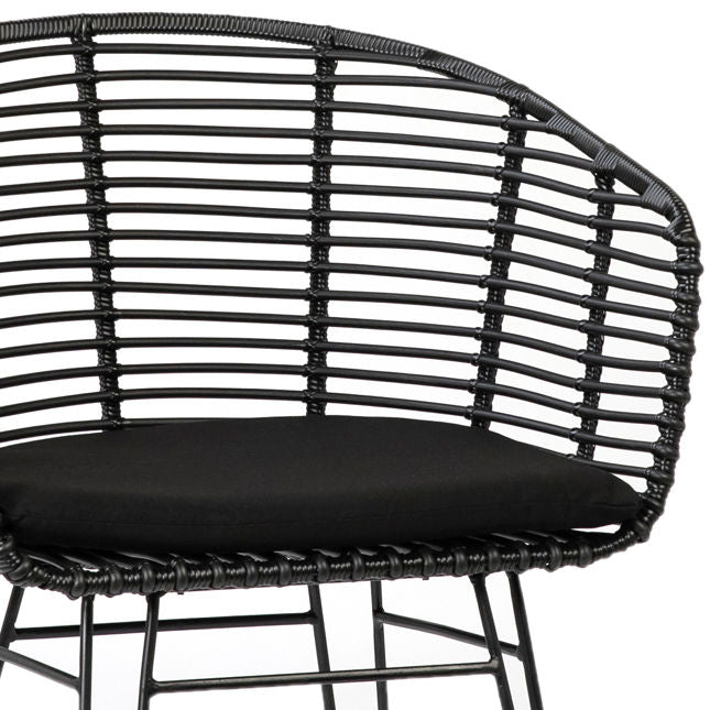 Ishani Dining Chair Set Of 2