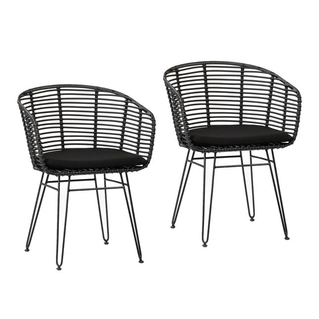 Ishani Dining Chair Set Of 2
