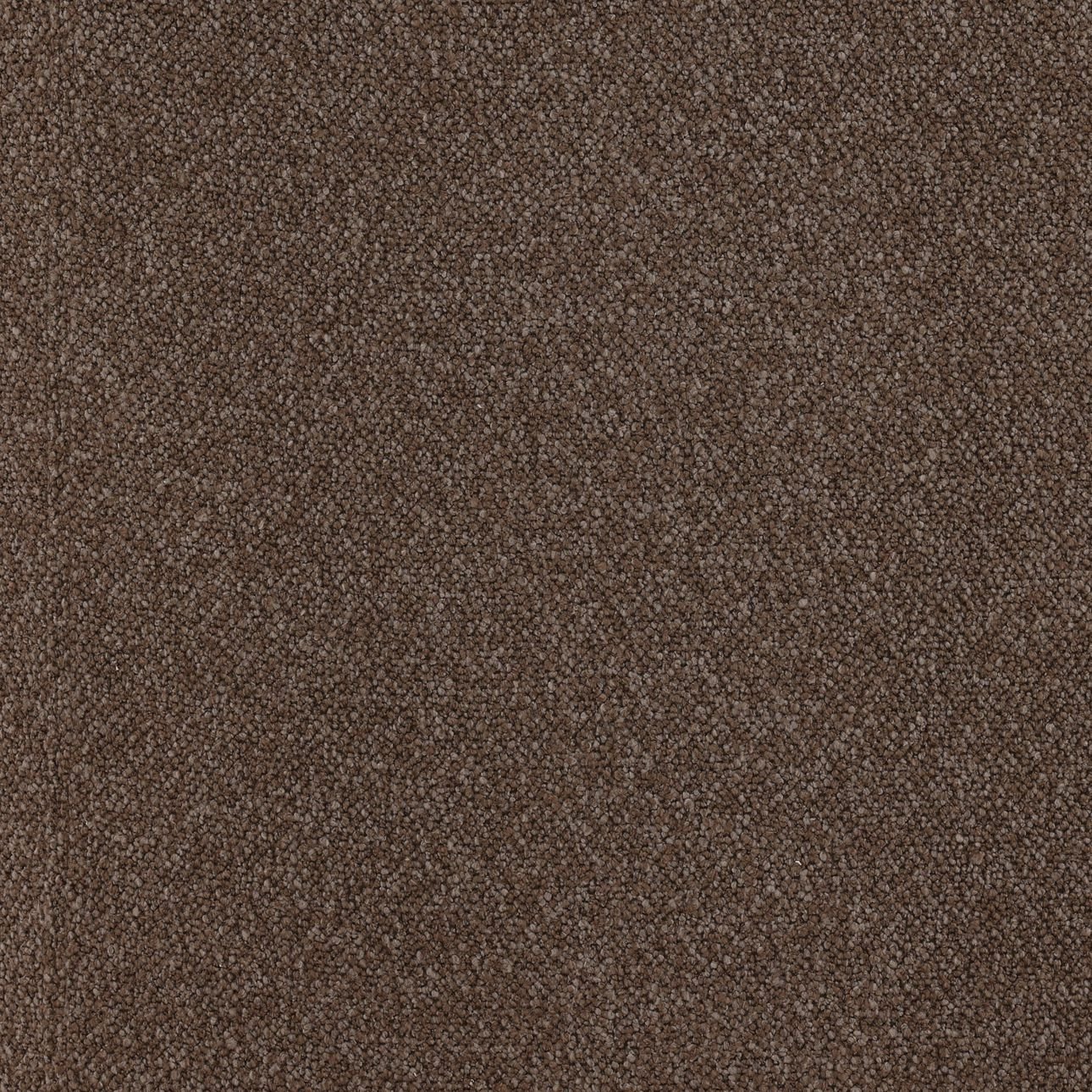 Saylor Occasional Chair