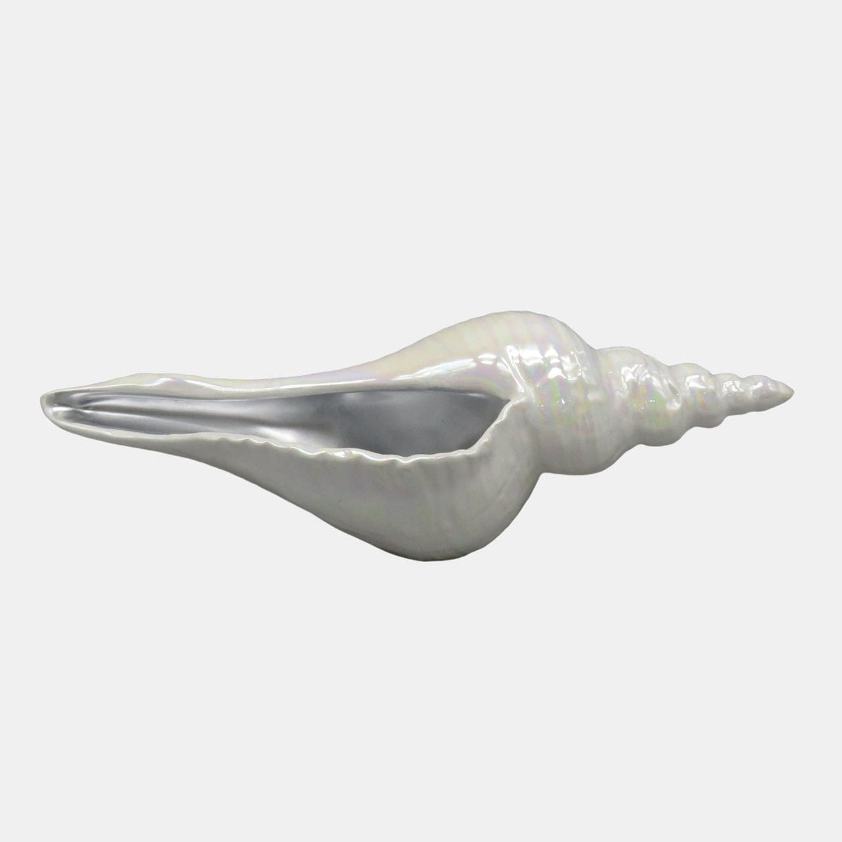 12" Long Iridescent Seashell With - Ivory / Silver