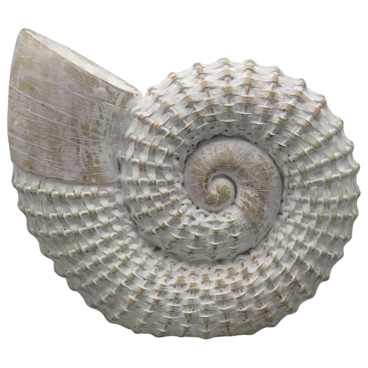 12" x 11" Woven Shell Decor - White