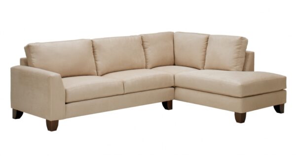 Cambridge Collection