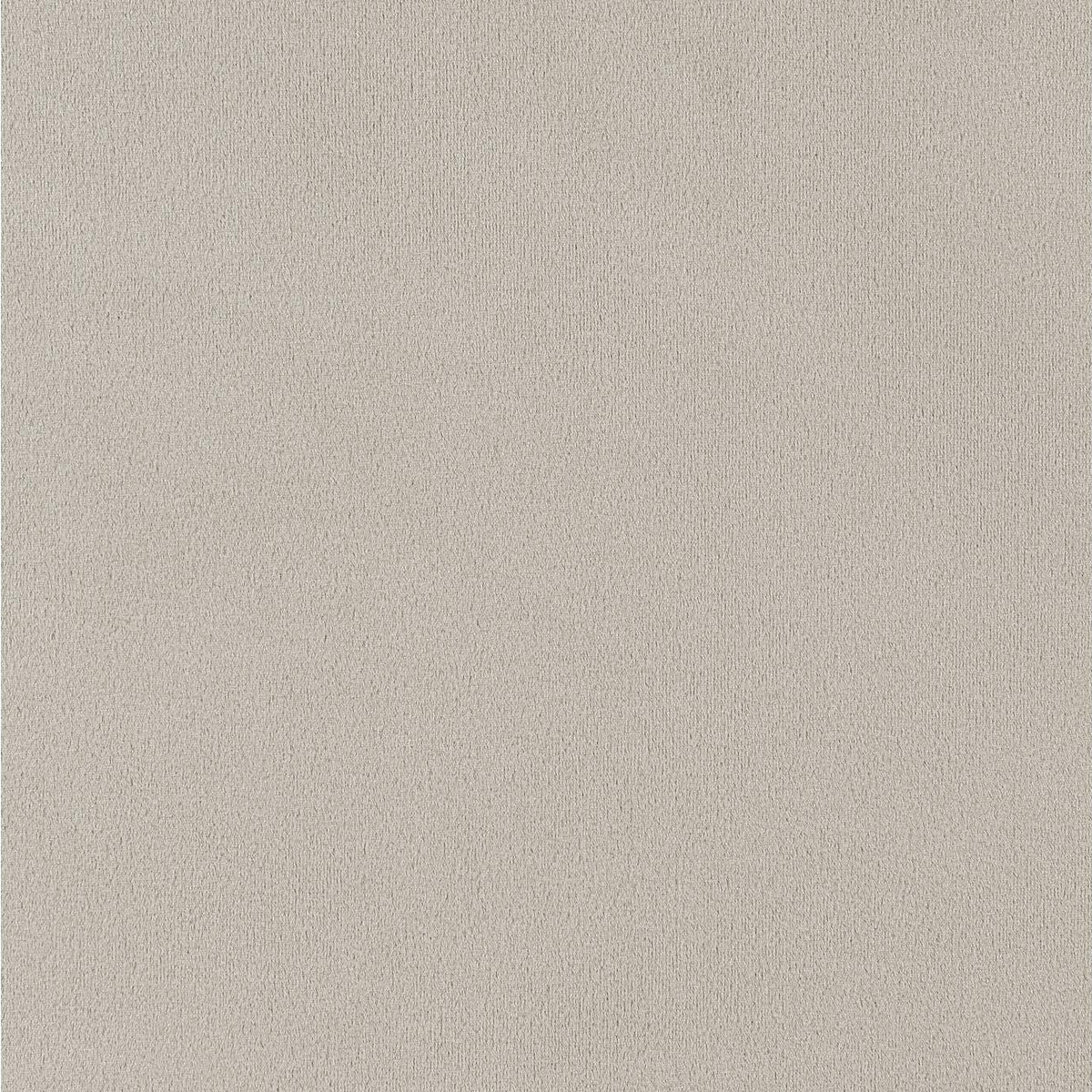 115183 Alana Velvet Upholstered Dining Arm Chair Sand