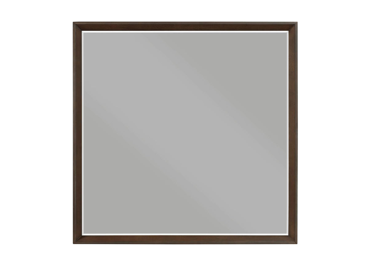 1501-6 Astrid Mirror