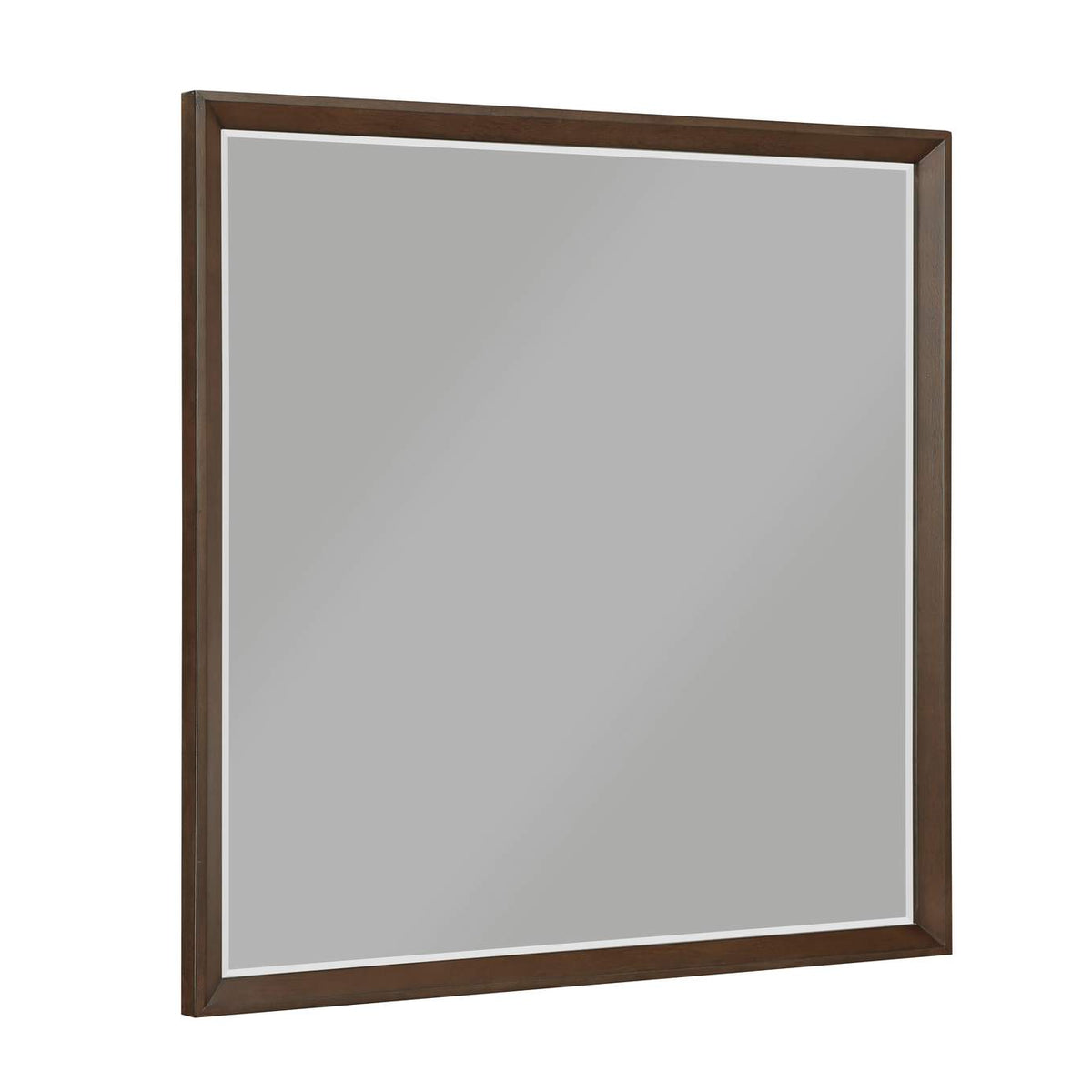 1501-6 Astrid Mirror