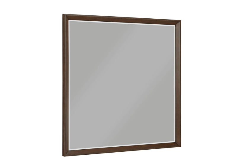 1501-6 Astrid Mirror