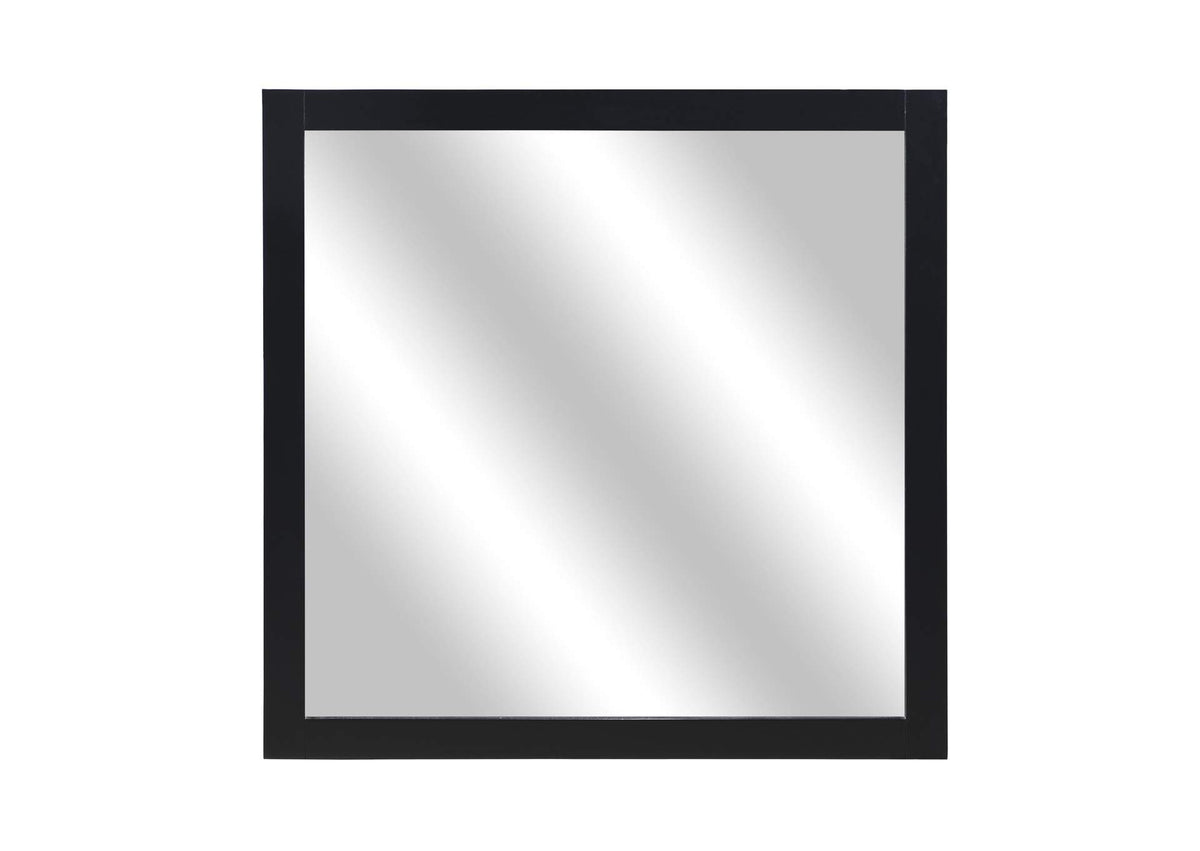 1519BK-6 Mirror