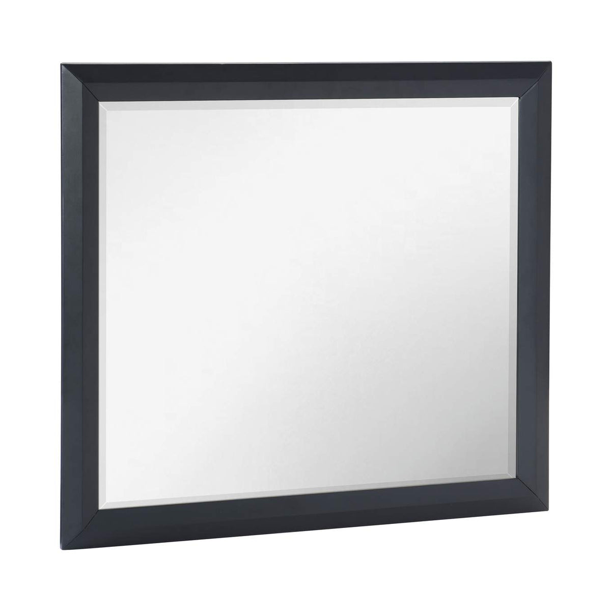 1553-6 Rosemont Mirror