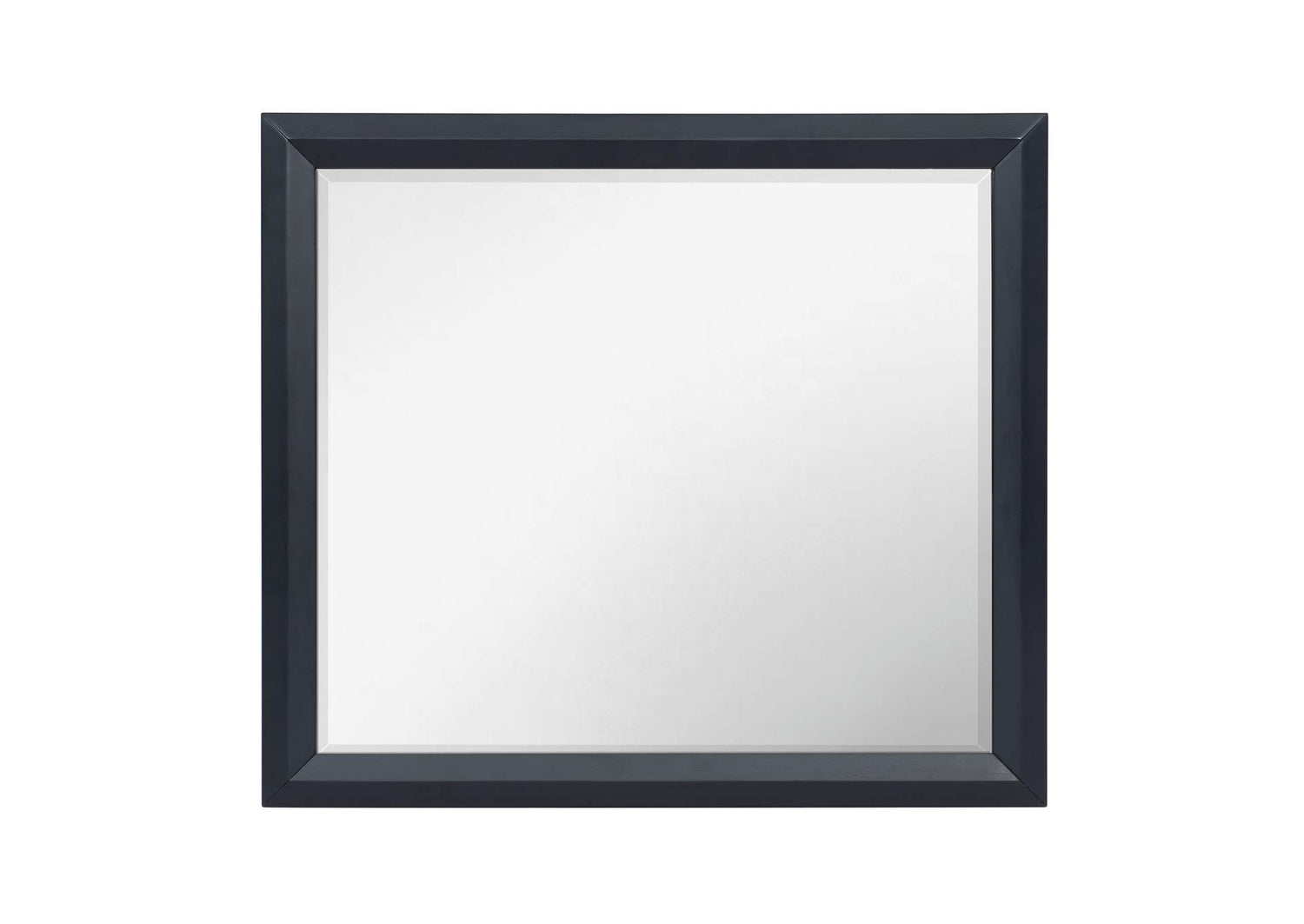 1553-6 Rosemont Mirror