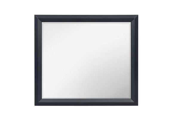 1553-6 Rosemont Mirror
