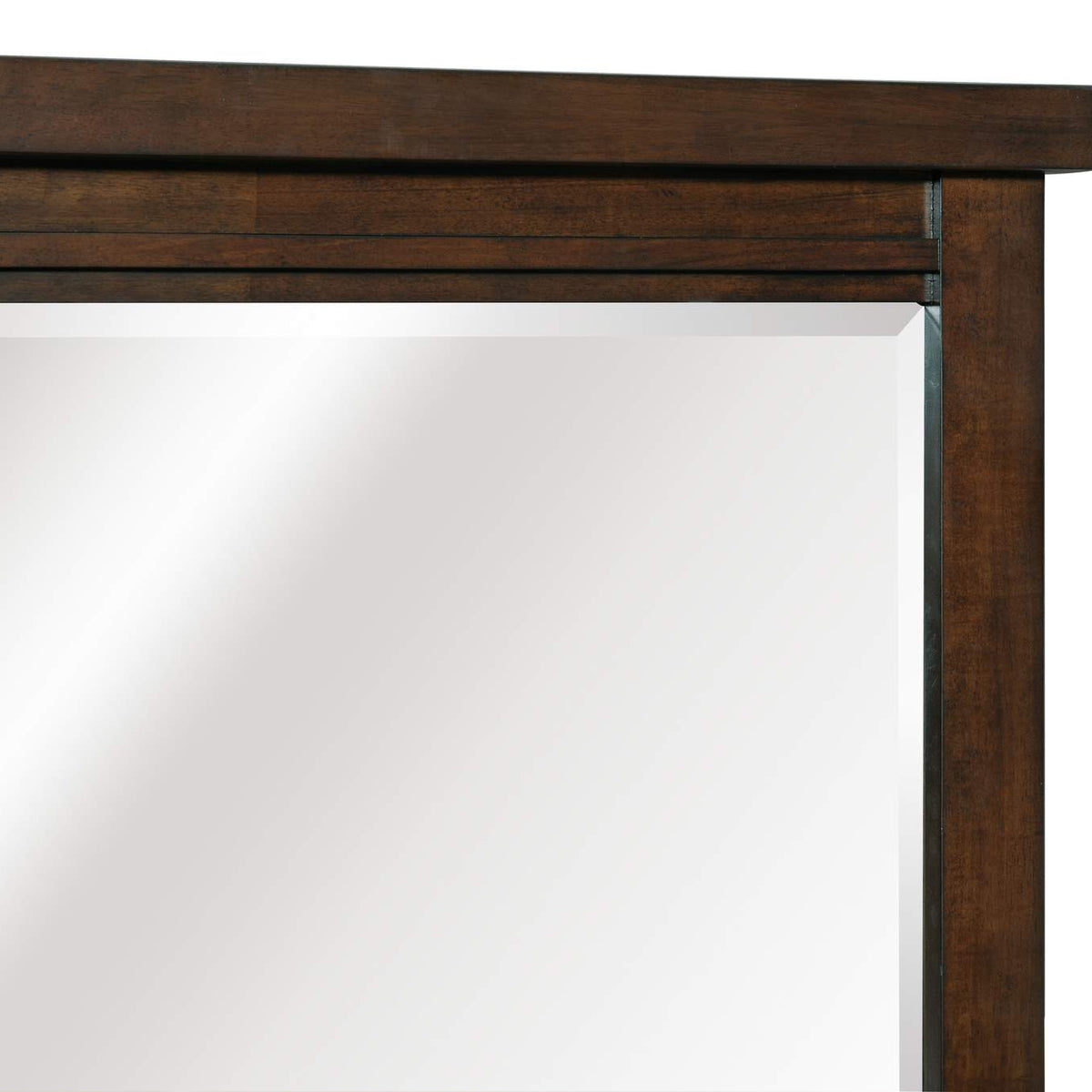 1559-6 Logandale Mirror