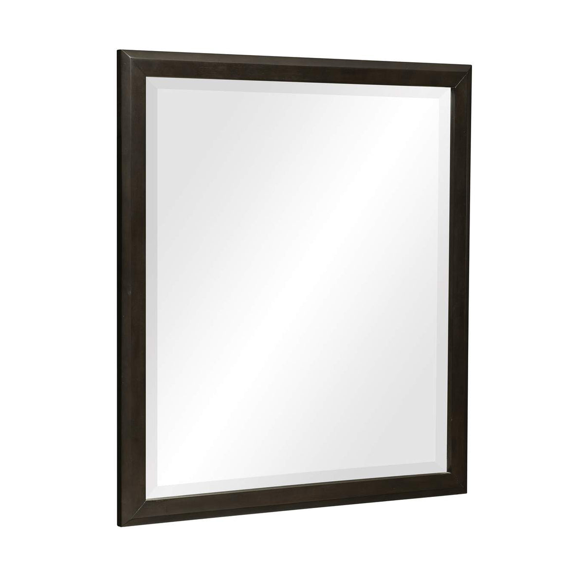 1575-6 Hodgin Mirror