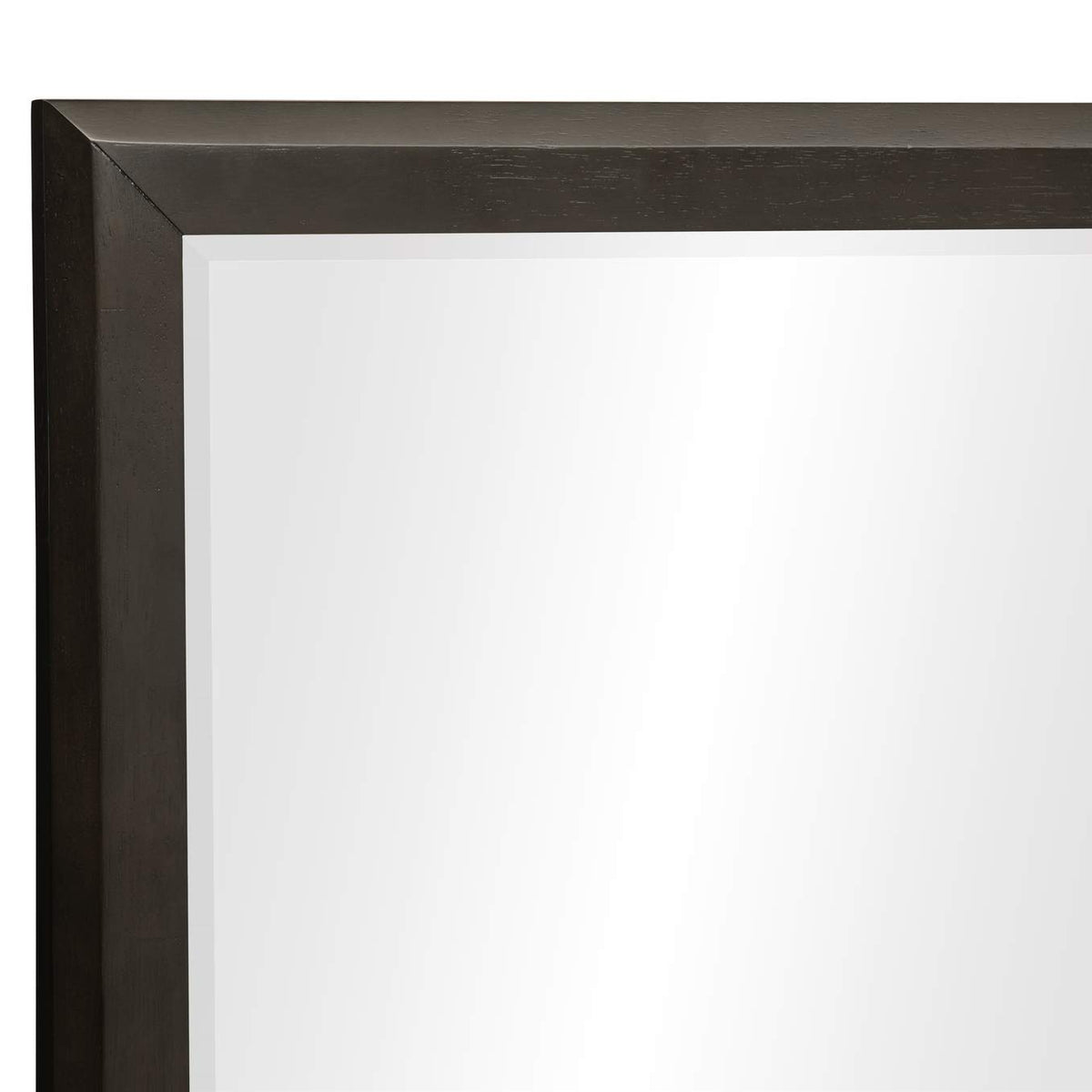 1575-6 Hodgin Mirror