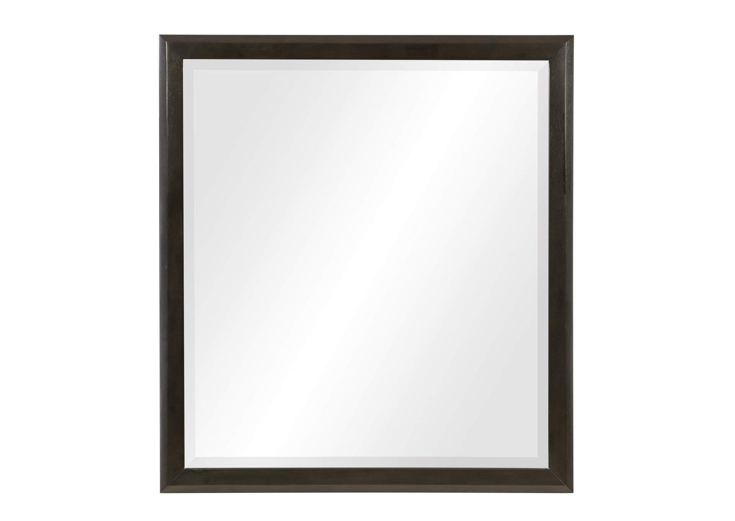 1575-6 Hodgin Mirror