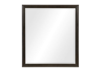 1575-6 Hodgin Mirror