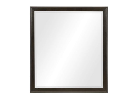 1575-6 Hodgin Mirror