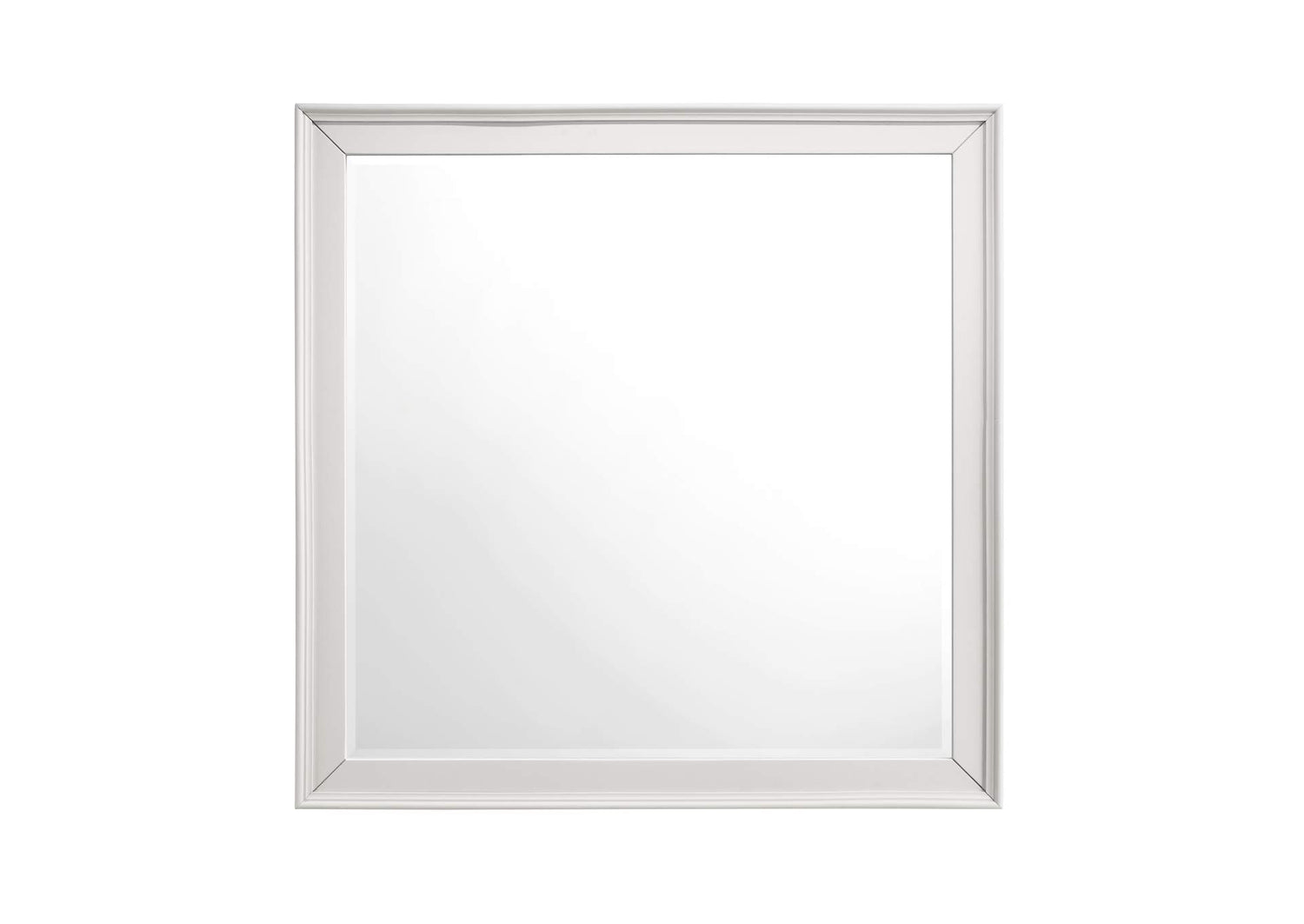 1581-6 Donahue Mirror