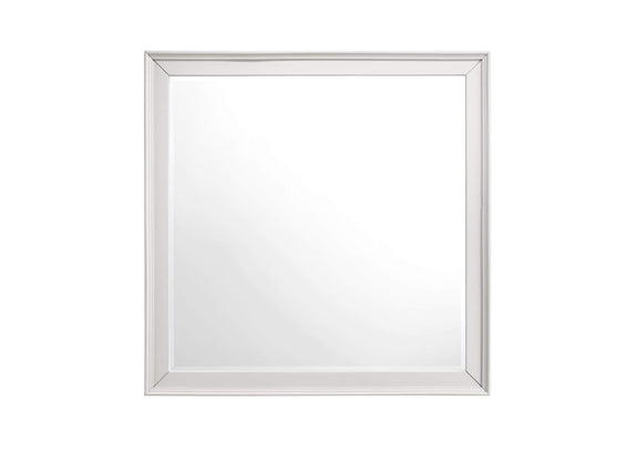 1581-6 Donahue Mirror