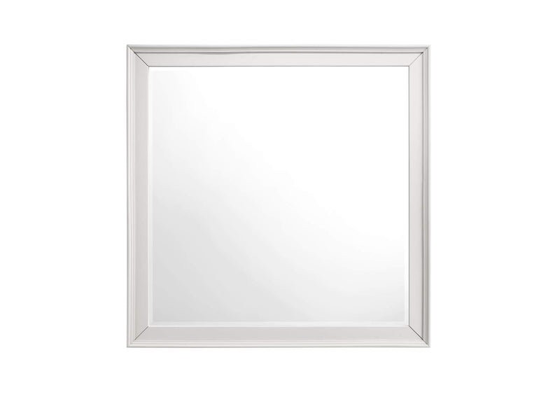 1581-6 Donahue Mirror