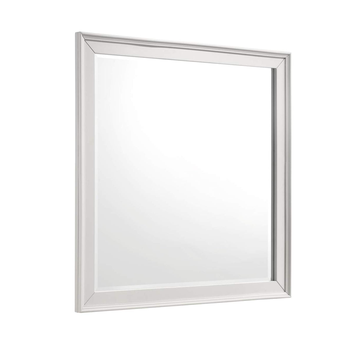 1581-6 Donahue Mirror