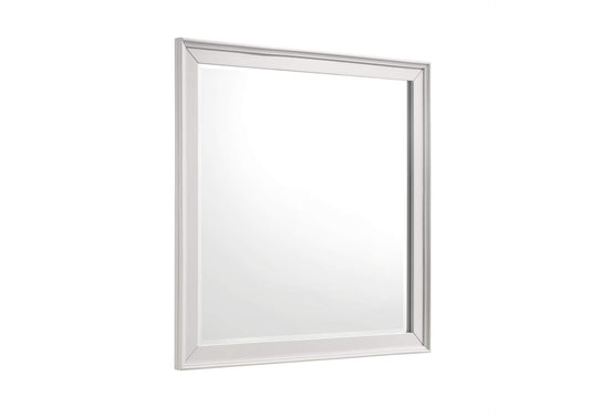 1581-6 Donahue Mirror
