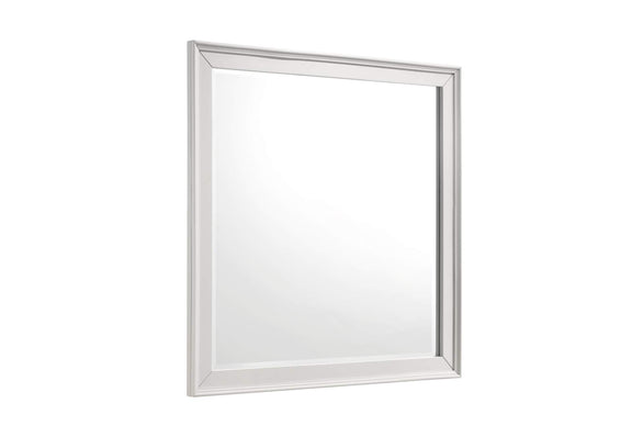 1581-6 Donahue Mirror