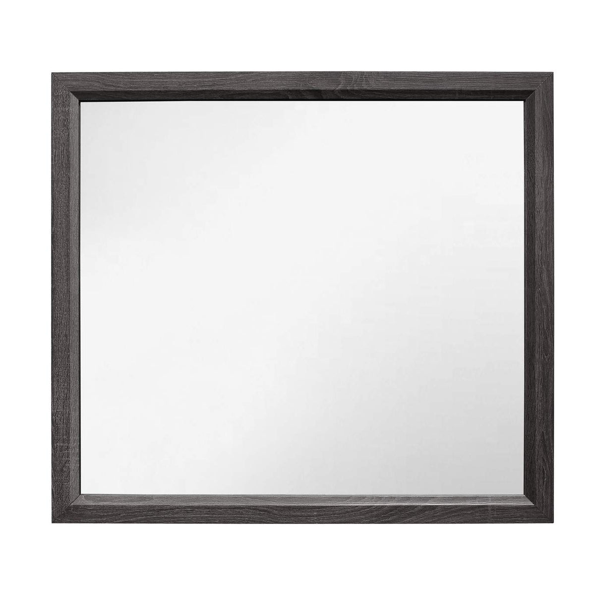 1645-6 Davi Mirror