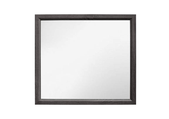 1645-6 Davi Mirror