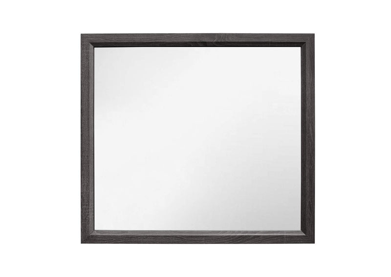 1645-6 Davi Mirror