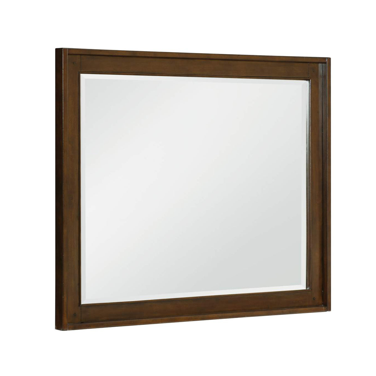 1649-6 Park Mirror