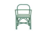 TOV-D21022 Ginny Green Rattan Dining Chair