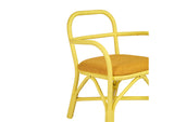 TOV-D21023 Ginny Yellow Rattan Dining Chair