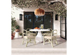 TOV-D21024 Ginny Cream Rattan Dining Chair