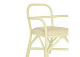 TOV-D21024 Ginny Cream Rattan Dining Chair