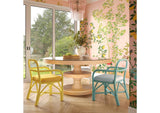 TOV-D21024 Ginny Cream Rattan Dining Chair