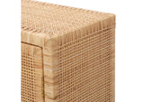 TOV-OC21016 Amara Natural Woven Rattan Cabinet