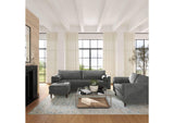 REN-L01143 Cave Ash Gray Velvet Sofa