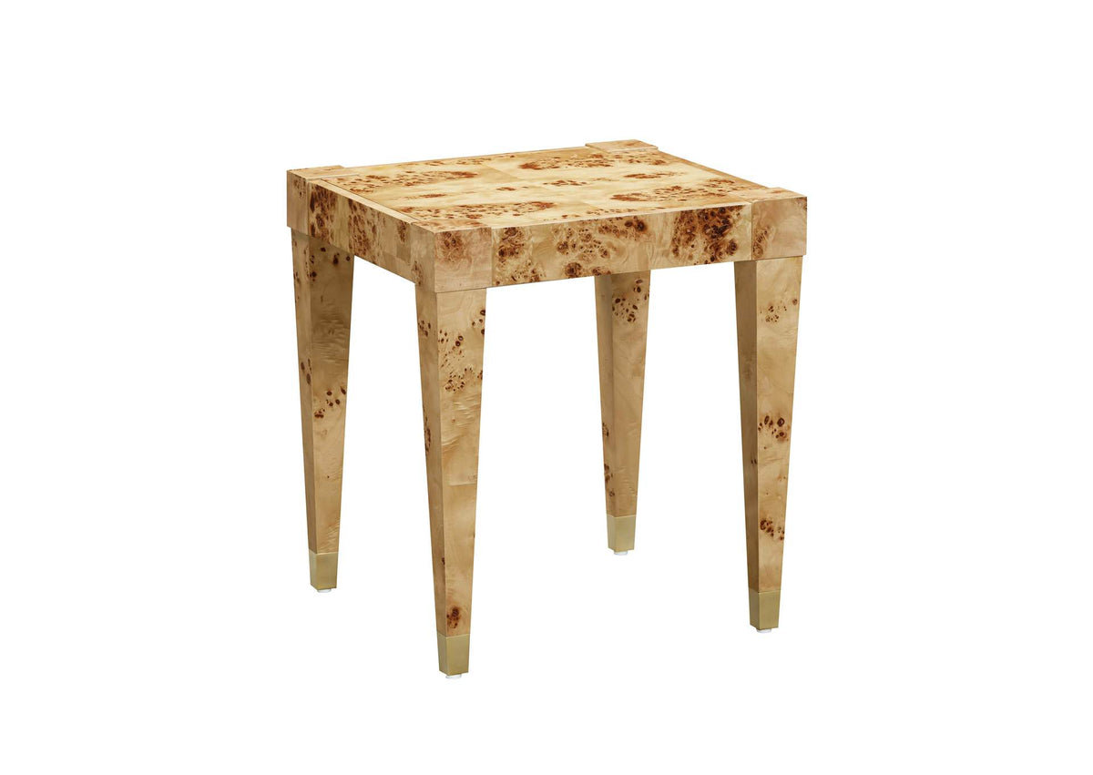 TOV-OC54191 Brandyss Natural Burl End Table