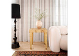 TOV-OC54191 Brandyss Natural Burl End Table