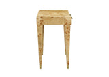 TOV-H54193 Brandyss Natural Burl Work Desk