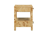 TOV-B54189 Brandyss Natural Burl Nightstand