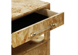 TOV-B54189 Brandyss Natural Burl Nightstand