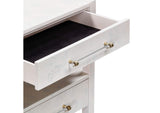 TOV-B54190 Brandyss White Burl Nightstand