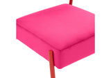 TOV-D68583 Jolene Hot Pink Velvet Dining Chair - Set of 2