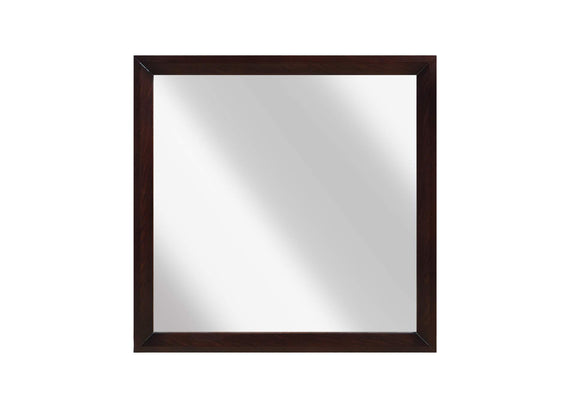 2145-6 Edina Mirror
