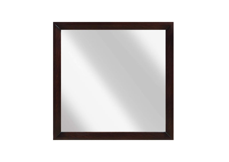 2145-6 Edina Mirror