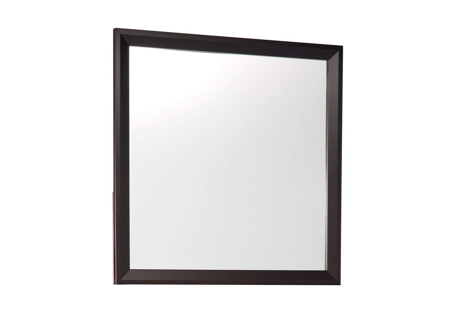 2145-6 Edina Mirror