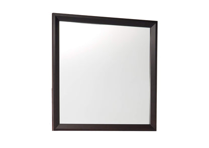 2145-6 Edina Mirror