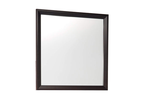 2145-6 Edina Mirror